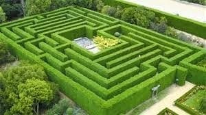 maze maze