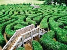 maze4 maze